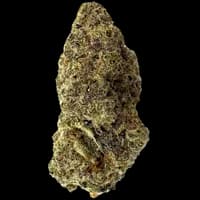 Bild Cannabisblüte Cantourage MAC 1+