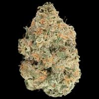 Bild Cannabisblüte avaay 29/1 SCP Sour Cherry Punch