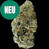 Bild Cannabisblüte avaay 30/1 JFP Jet Fuel Pie
