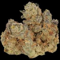 Bild Cannabisblüte Cannamedical CM 29/1 SPC Space Cake