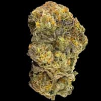 Bild Cannabisblüte Organic Sweetgrass CB 25/1 Crunch Berries