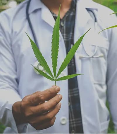 Ärztliche Prüfung – Cannabisrezept wird von einem Arzt geprüft und genehmigt