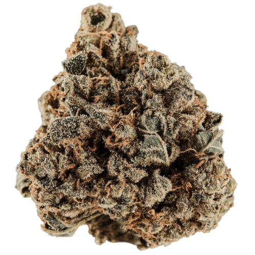 Bild Cannabisblüte Huala 25/1 CA GRF Grape Face