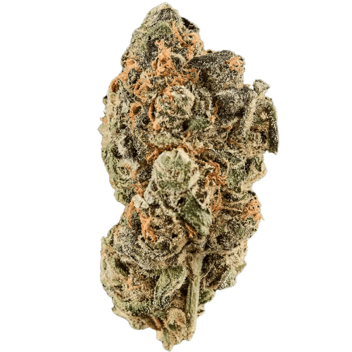 Bild Cannabisblüte Huala 22/1 CA WOT Whiteout Super Silver Haze x The White