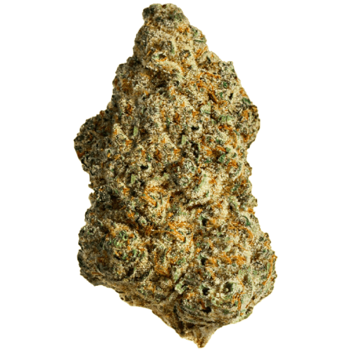 Bild Cannabisblüte Tannenbusch 31/1 TF Tubitti Frubitti