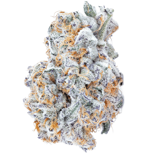Bild Cannabisblüte avaay Signature 23/1 BYY Blueberry Yum Yum