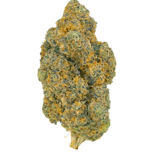 Bild Cannabisblüte Pedanios 25/1 FLH-CA Frozen Lemon Haze