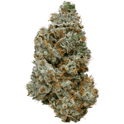 Bild Cannabisblüte 28/1 IUVO OC Orange Z