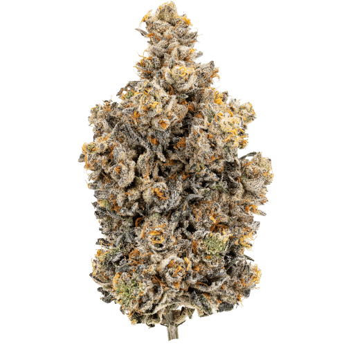 Bild Cannabisblüte 28/1 IUVO OC Rainbow Chip