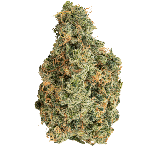 Bild Cannabisblüte avaay 29/1 SCG Super Citra G