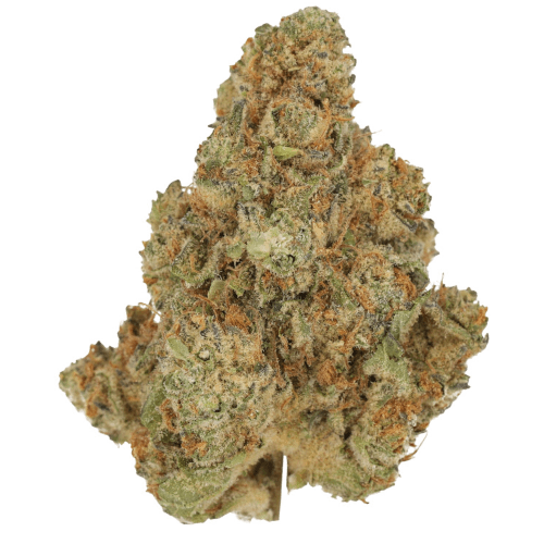 Bild Cannabisblüte Cannamedical Sativa forte Venomz Eve