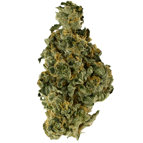 Bild Cannabisblüte Demecan Core Saxonia 28:01 Wedding Cake x Jet Fuel Gelato