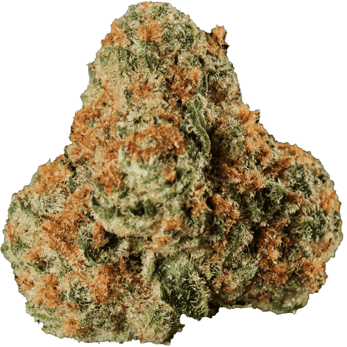 Bild Cannabisblüte Huala 27/1 UK WTR Waffle Truffle