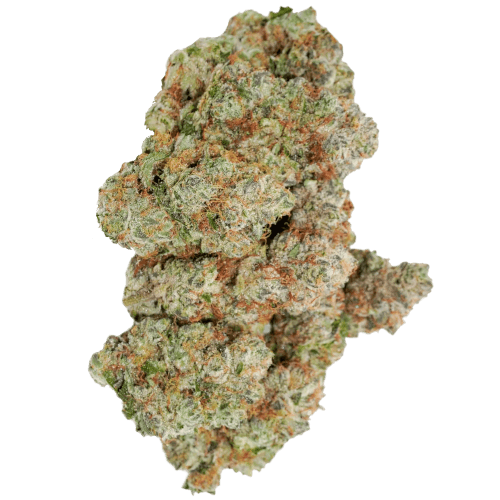 Bild Cannabisblüte avaay Signature 34/1 OGC Ocean Grown Cookies