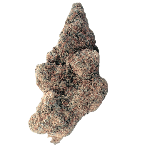 Bild Cannabisblüte Demecan CRAFT FCF 28:01 First Class Funk