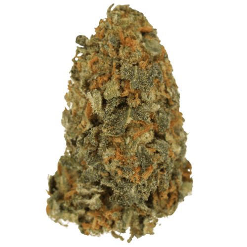 Bild Cannabisblüte Cannamedical CM 24/1 BRY Strawberry OG