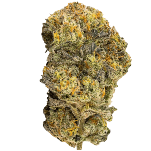 Bild Cannabisblüte Organic Sweetgrass CB 25/1 Crunch Berries