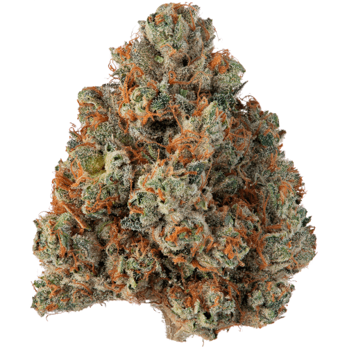 Bild Cannabisblüte avaay Khalifa 32/1 KK Khalifa Kush