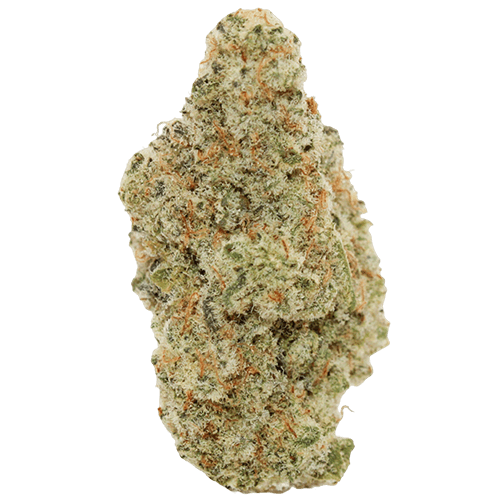 Bild Cannabisblüte All Nations MD 25/1 Mac Daddy