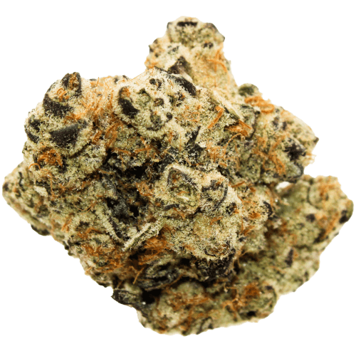 Bild Cannabisblüte Citizen Labs CR 32/1 Cali Rain