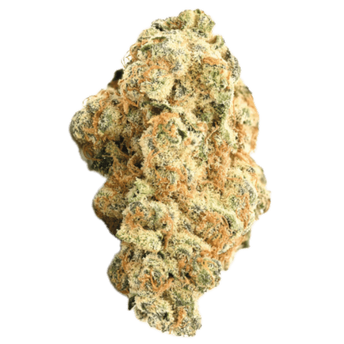 Bild Cannabisblüte Demecan Typ 2 16/1 Orange Velvet