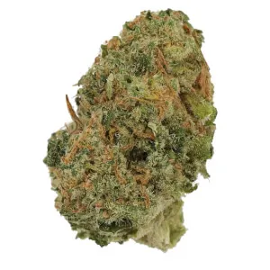 Bild Cannabisblüte avaay Khalifa 28/1 PB Point Breeze
